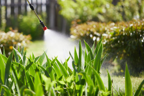 Tamper-Resistant Bait Stations for Rodents in Gardner