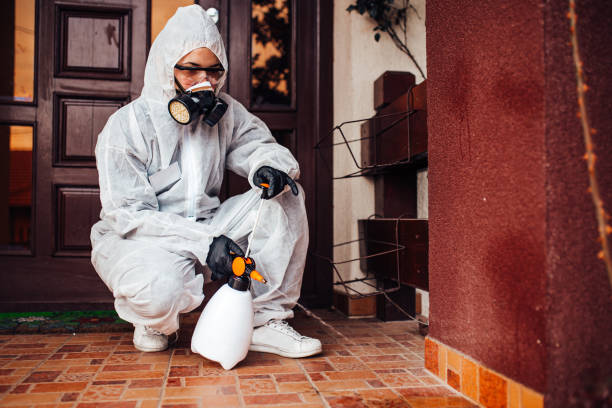 Attic and Crawl Space Rodent Treatment in Gardner