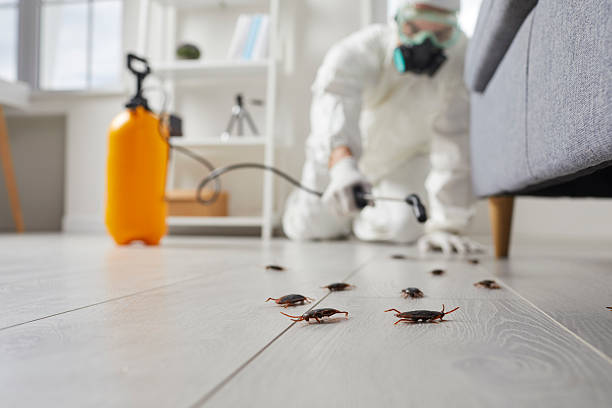 Commercial Rodent Management in Gardner